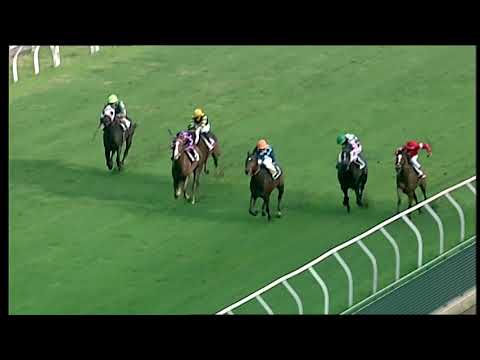 Napoli Galoppo 11/12/2021 - 1ª corsa