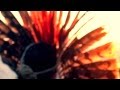 Shaneihu Yawanawá - KÊNE KÊRANE - Video CLIPE ...