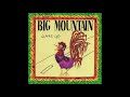 Big Mountain - Once Again