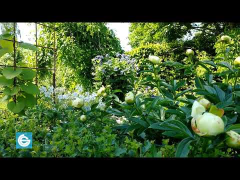 Enköping​ Sweden​ may 2020 part three 4K