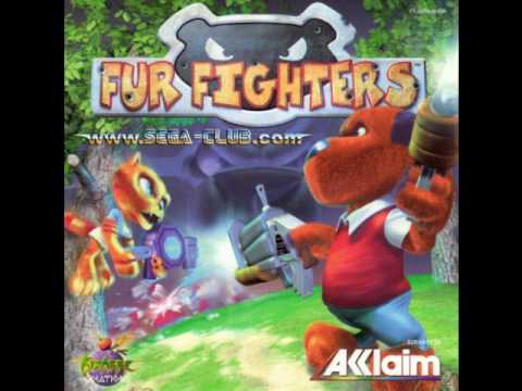 fur fighters newyork