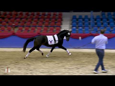 Fanjeaux v Franklin -  Romancero H - Augustinus xx