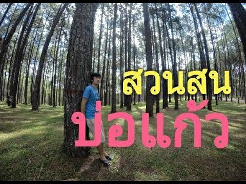 สถานีวนวัฒนวิจัยบ่อแก้ว (สวนสนบ่อแก้ว)