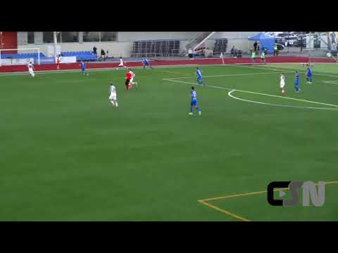 Sander Alamaa Skills