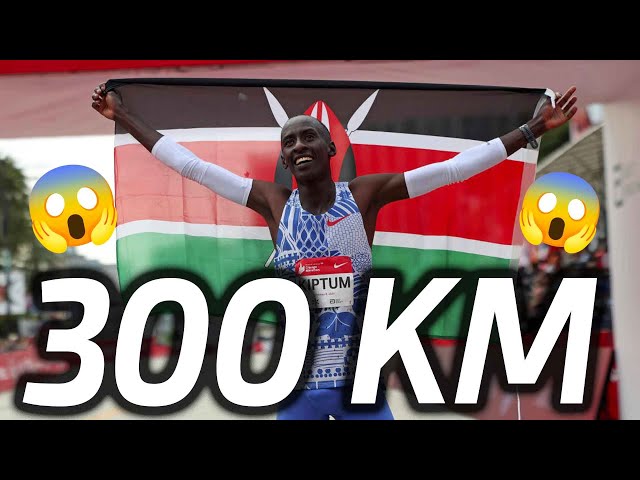 KIPTUM CORRE 300 KM POR SEMANA? (e mais um monte de notícias)