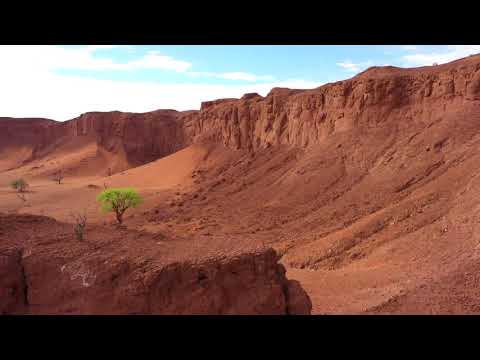 Namibia - Dry to Green