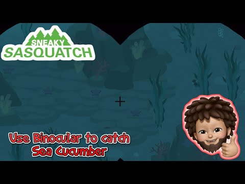 Sneaky Sasquatch - The best use of Binocular - to catch sea cucumber