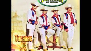Eres Mi Sueño - Los Tucanes De Tijuana