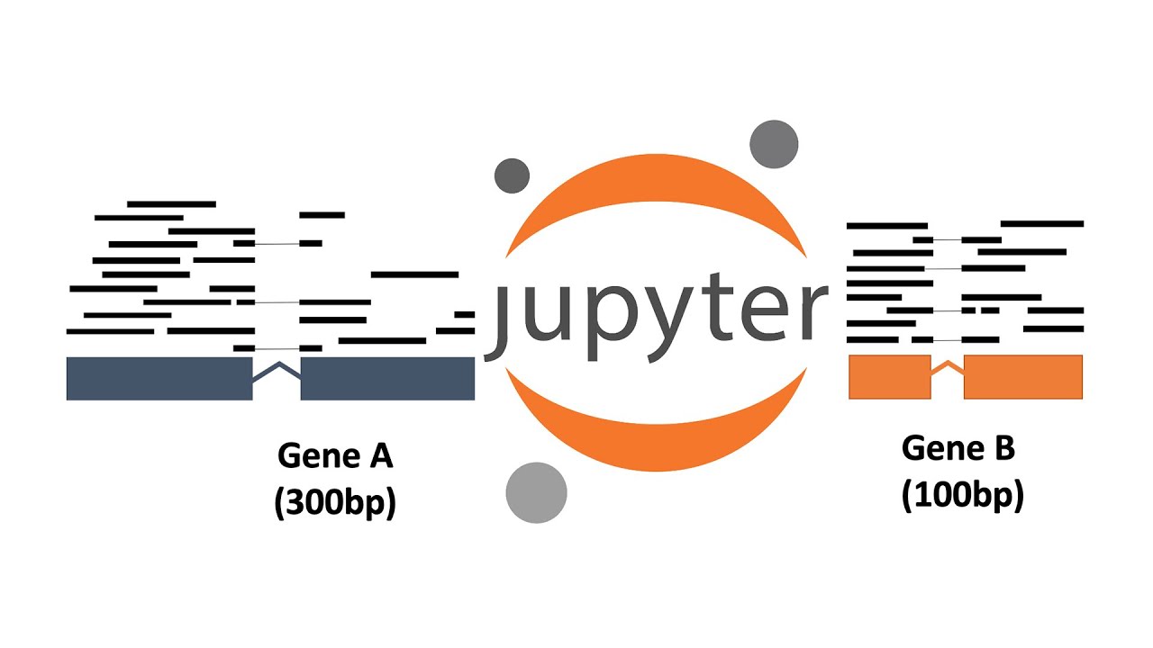 Intro to RNA-Seq with Jupyter, Part I