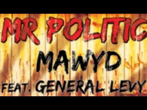 General Levy Feat Mawyd - MR POLITIC - (2013 / OFFICIEL)
