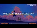 Avicii Without You Braaten Aili Cover Slowed Tiktok Version You Said You D Follow Me Anywhere