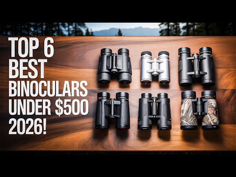 Top 6 Best Binoculars Under $500 2026!