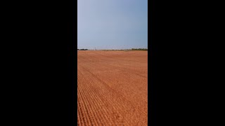 Tippecanoe County 80+/- Acre Auction