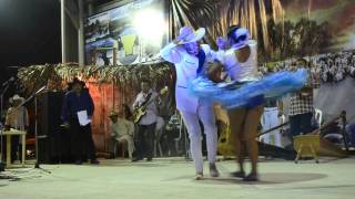 preview picture of video 'Baile de Joropo Luis Linares y Laura Torres, de Portuguesa'