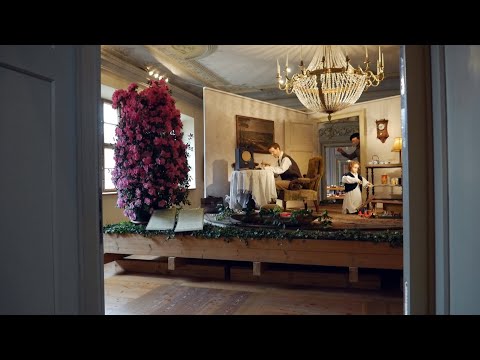 Faszination Kamelie in Zuschendorf