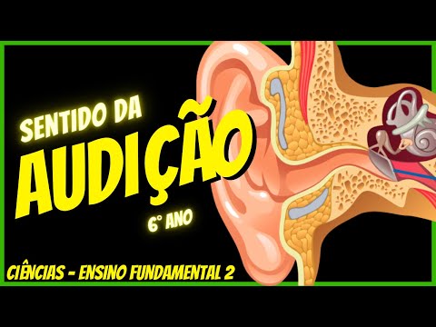 Sense of Hearing - Human Senses | 6th Grade Science | Full Class 2022