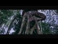 China English Jangli Tarzan Video