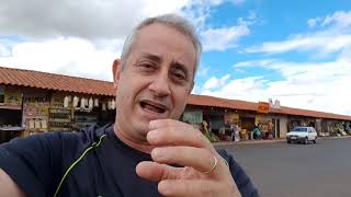 Monte Alegre de Minas tem abacaxi  #apoioaoprodutor