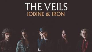 The Veils - Iodine & Iron (Audio)