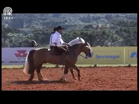 Região SC/PR – 1° e 2° lugar machos – Ambicioso da Arkafla e Capanegra Oguindo (Campo II)