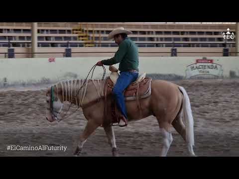 THE ROAD TO FUTURITY: Chapter 19 (Part 3 of 3)