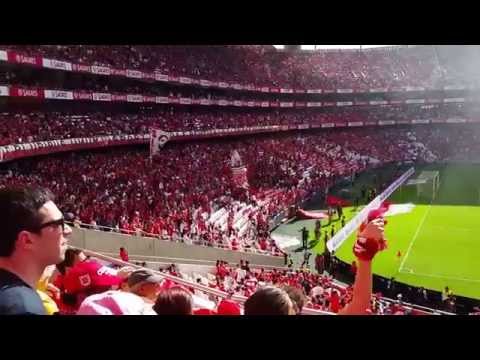 Benfica vs. Penafiel | After 1st goal