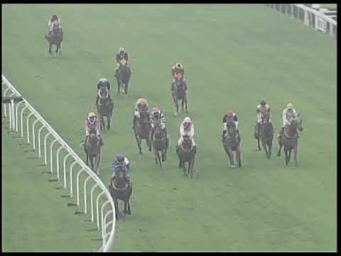 2019-02-23 Race 2(0164) - THE SHATIN
