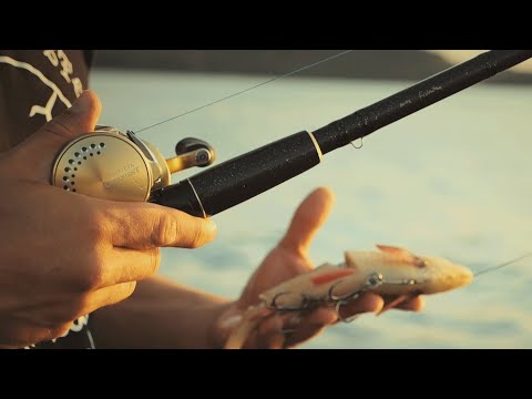 BB Custom Rods on Tour #5 - Jez. Żarnowieckie