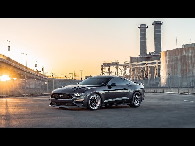 جنوط s77 ويلد بيدلوك