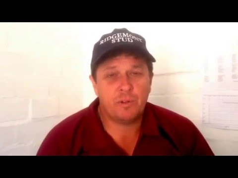 Grand Parade Cape Guineas- Prep with Brett