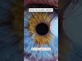 Why do pupils dilate?