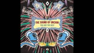 The Sound Of Urchin - The Alligator