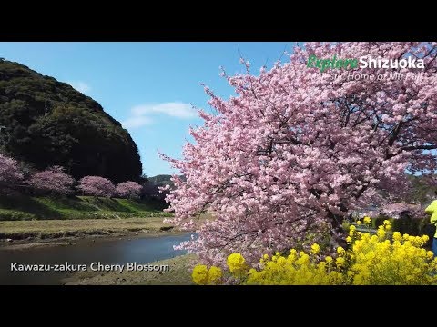 Explore Shizuoka - Off the Tokaido Line - Things to do around  Atami Station