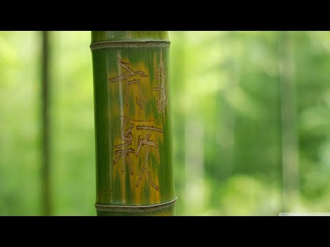 [ FENG SHUI ] Music to Cleanse of Negative Energy at Home Space | HOME IN HARMONY