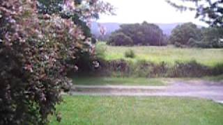 preview picture of video 'Berry Orchard Cottage BBQ and View.mov'
