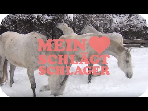 Auf Weißen Pferden - Nik P.