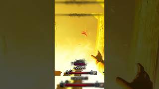 ТРАПЫ ИМБА? Dark And Darker