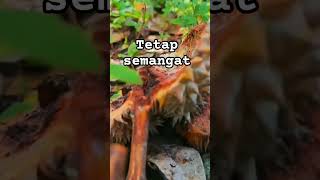 Download lagu Keep your head up #story #storywa #dailystory #fyp #fypシ #motivationalquotes #viral #motivation #... mp3