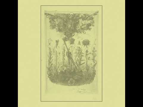 An Old Sad Ghost -  Les Fleurs du Mal [EP] (2019)