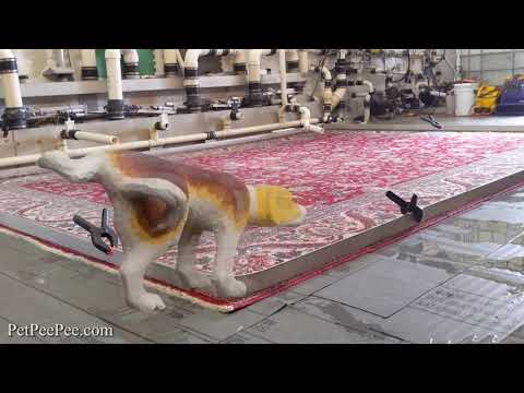 YouTube video about: How often should oriental rugs be cleaned?