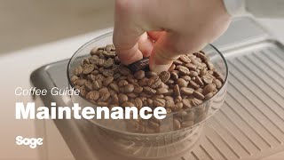 The Barista Touch™ | A routine cleaning of the grinder conical burrs | Sage Appliances UK