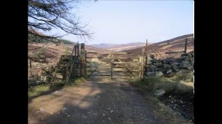 Beth Orton Central Reservation (Original Version)