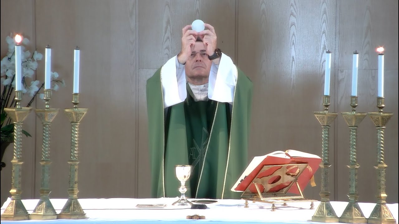 La Santa Misa de Hoy | Miércoles, XXXII semana del T. O. | 13-11-2024 | Pbro. Javier Martín, FM