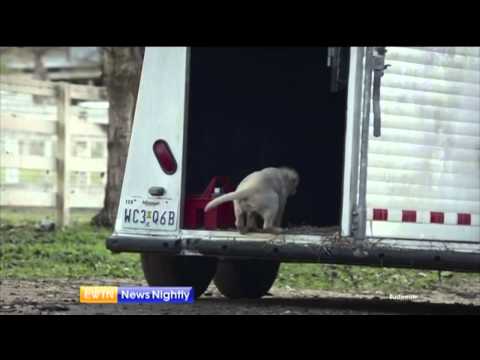 EWTN News Nightly - 2015.2.2