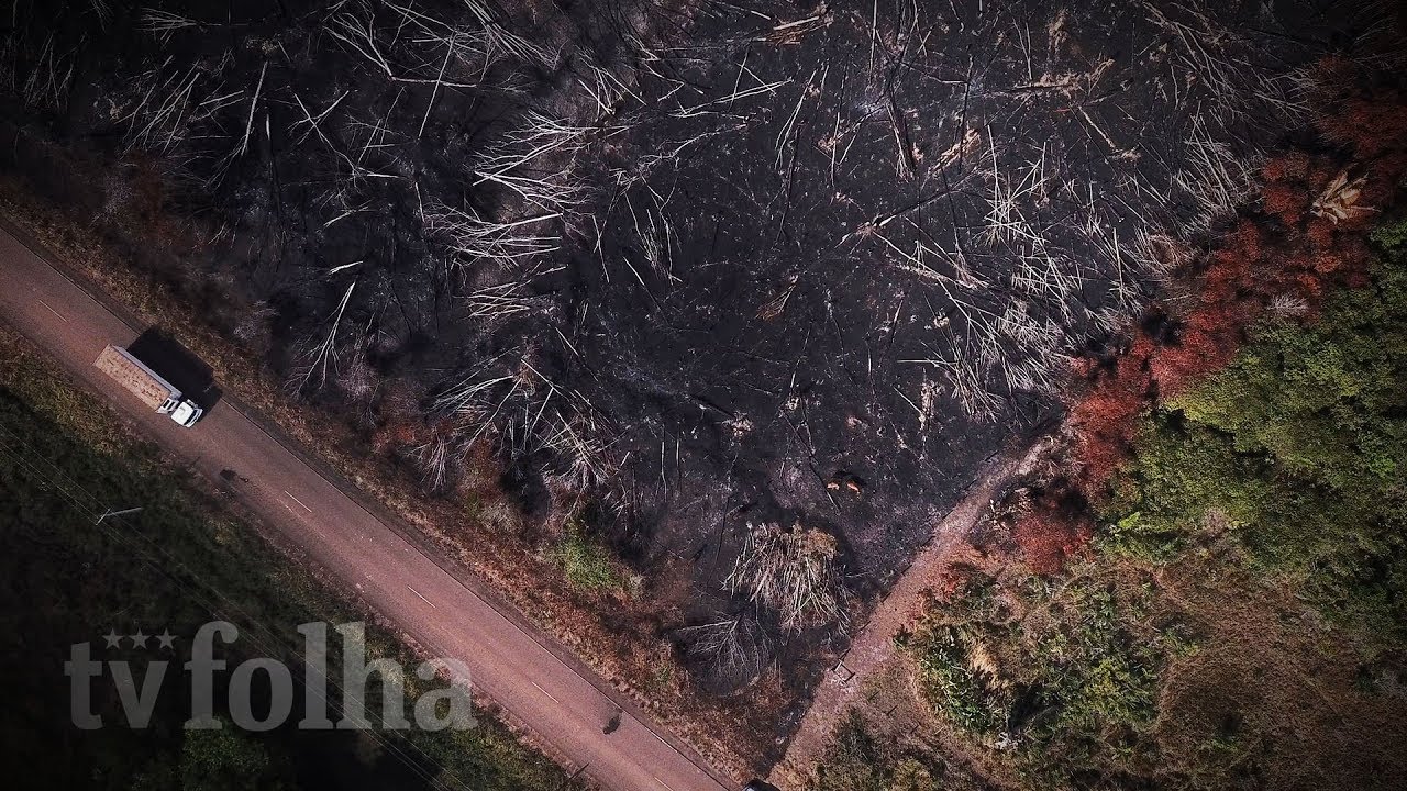 BR-319: poeira e abandono no meio da Amazônia