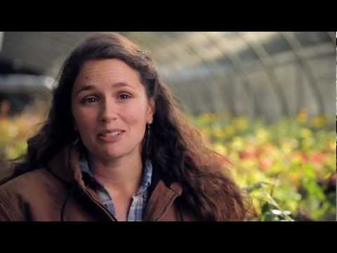 download lagu mp3 mp4 An Instinct For Growth, download lagu An Instinct For Growth gratis, unduh video klip An Instinct For Growth