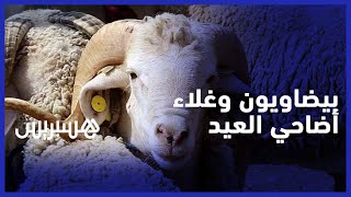 بيضاويون يعلقون على غلاء ثمن الأضاحي "بناقص من هاد العيد الفقير مغاديش يعيد" thumbnail