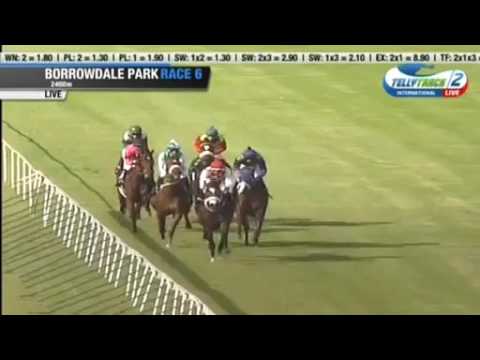 2017.04.30 Zimbabwe Derby - Solinski