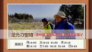 2024年4月16日～放送　新番組【足元の宝物】