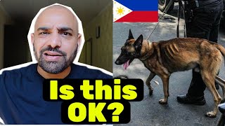 People are outraged over this skinny police dog in the Philippines 